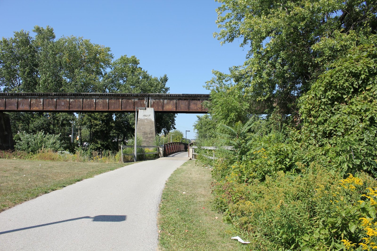 Spans #5 and #6
